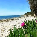 Apartament Histria *