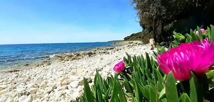 Appartement Histria *